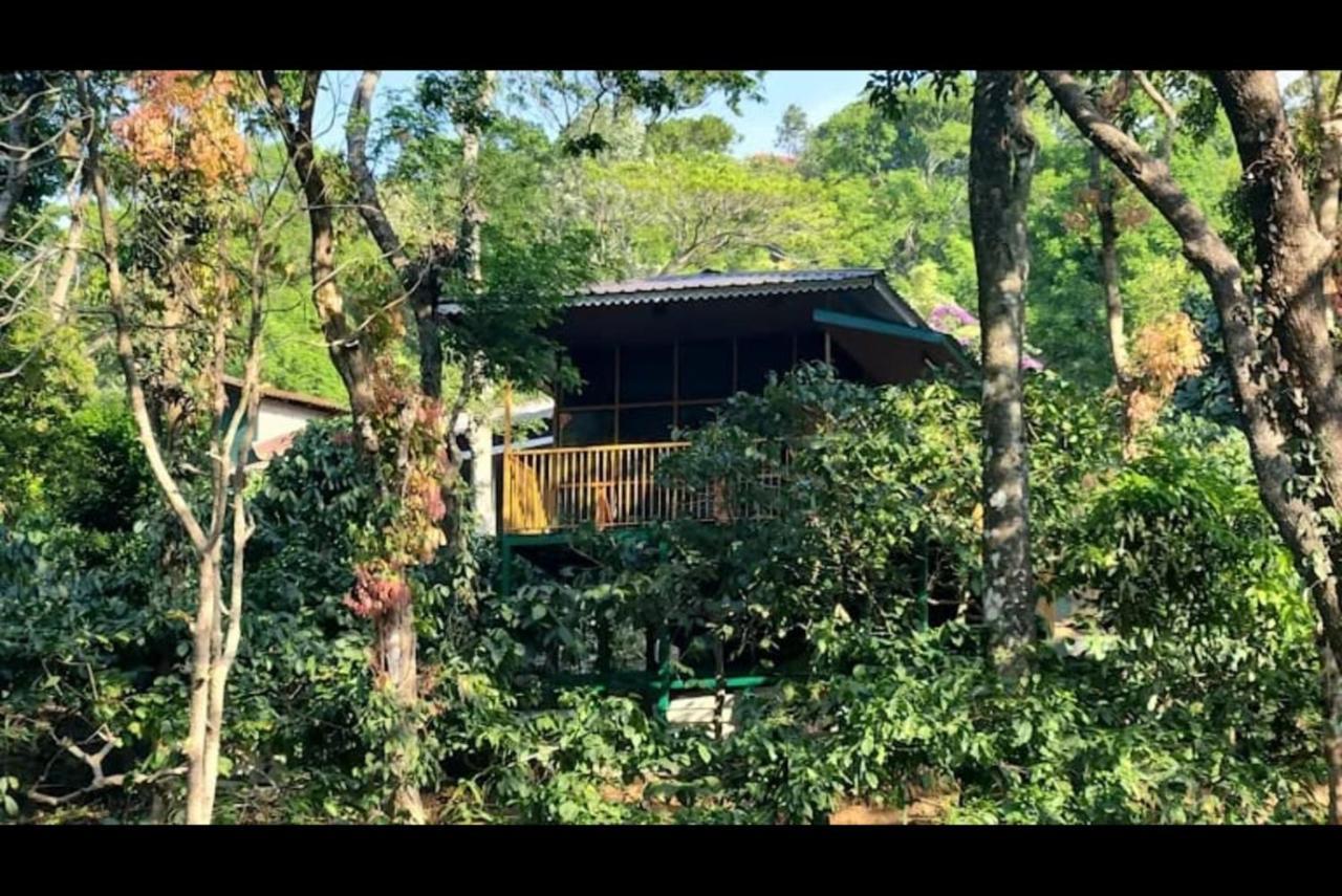 Hill Valley Farm House Nelliyampathy Exterior foto